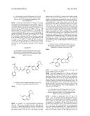 KINASE INHIBITORS diagram and image