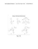 TYPE III SECRETION INHIBITORS, ANALOGS AND USES THEREOF diagram and image