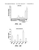 INHIBITORS OF PHOSPODIESTERASES 11 (PDE11) AND METHODS OF USE TO ELEVATE     CORTISOL PRODUCTION diagram and image