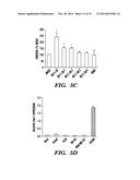 INHIBITORS OF PHOSPODIESTERASES 11 (PDE11) AND METHODS OF USE TO ELEVATE     CORTISOL PRODUCTION diagram and image