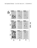 INHIBITORS OF PHOSPODIESTERASES 11 (PDE11) AND METHODS OF USE TO ELEVATE     CORTISOL PRODUCTION diagram and image