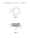 Inductive Powering Apparatus for Capsule Device diagram and image