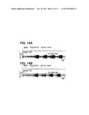 ELECTROCARDIOGRAPHIC WAVEFORM MEASURING APPARATUS diagram and image