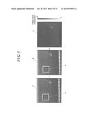 ULTRASOUND DIAGNOSTIC IMAGING APPARATUS AND ULTRASOUND IMAGE DISPLAY     METHOD diagram and image