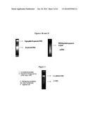 PHOSPHORS AND SCINTILLATORS FOR LIGHT STIMULATION WITHIN A MEDIUM diagram and image