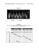 PHOSPHORS AND SCINTILLATORS FOR LIGHT STIMULATION WITHIN A MEDIUM diagram and image