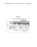 PHOSPHORS AND SCINTILLATORS FOR LIGHT STIMULATION WITHIN A MEDIUM diagram and image