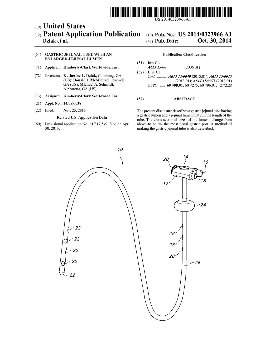 GASTRIC JEJUNAL TUBE WITH AN ENLARGED JEJUNAL LUMEN - diagram, schematic, and image 01