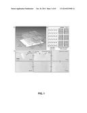 MATERIALS, ELECTRONIC SYSTEMS AND MODES FOR ACTIVE AND PASSIVE TRANSIENCE diagram and image