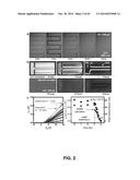 MATERIALS, ELECTRONIC SYSTEMS AND MODES FOR ACTIVE AND PASSIVE TRANSIENCE diagram and image