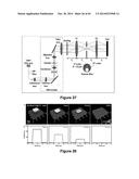 MATERIALS, ELECTRONIC SYSTEMS AND MODES FOR ACTIVE AND PASSIVE TRANSIENCE diagram and image