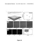 MATERIALS, ELECTRONIC SYSTEMS AND MODES FOR ACTIVE AND PASSIVE TRANSIENCE diagram and image