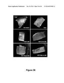 MATERIALS, ELECTRONIC SYSTEMS AND MODES FOR ACTIVE AND PASSIVE TRANSIENCE diagram and image