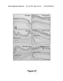 MATERIALS, ELECTRONIC SYSTEMS AND MODES FOR ACTIVE AND PASSIVE TRANSIENCE diagram and image