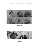 MATERIALS, ELECTRONIC SYSTEMS AND MODES FOR ACTIVE AND PASSIVE TRANSIENCE diagram and image