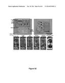 MATERIALS, ELECTRONIC SYSTEMS AND MODES FOR ACTIVE AND PASSIVE TRANSIENCE diagram and image