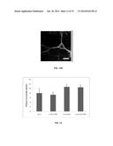 Wirelessly-powered illumination of biological tissue diagram and image