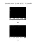 IMPLANTABLE DEVICE WITH PLASMA POLYMER SURFACE diagram and image