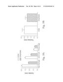 MULTI-COMPONENT NON-BIODEGRADABLE IMPLANT, A METHOD OF MAKING AND A METHOD     OF IMPLANTATION diagram and image