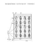 PROJECTED IMAGE PLANOGRAM SYSTEM diagram and image