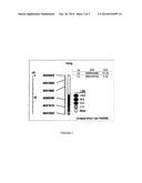 METHOD TO IDENTIFY ASIAN SOYBEAN RUST RESISTANCE QUANTITATIVE TRAIT LOCI     IN SOYBEAN AND COMPOSITIONS THEREOF diagram and image