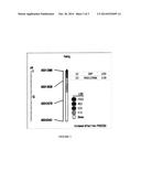 METHOD TO IDENTIFY ASIAN SOYBEAN RUST RESISTANCE QUANTITATIVE TRAIT LOCI     IN SOYBEAN AND COMPOSITIONS THEREOF diagram and image