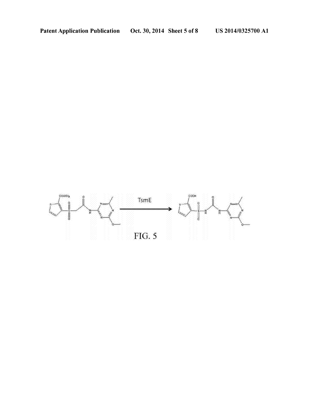 THIFENSULFURON HYDROLASE GENE TSME AND USES THEREOF - diagram, schematic, and image 06