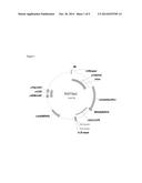 PROCESS FOR THE PRODUCTION OF FINE CHEMICALS diagram and image