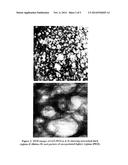 Cellulose Blends with Enhanced Water Retention and Their Use in Irrigation diagram and image