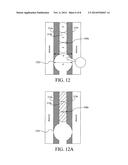 Techniques for Fabricating Janus Sensors diagram and image