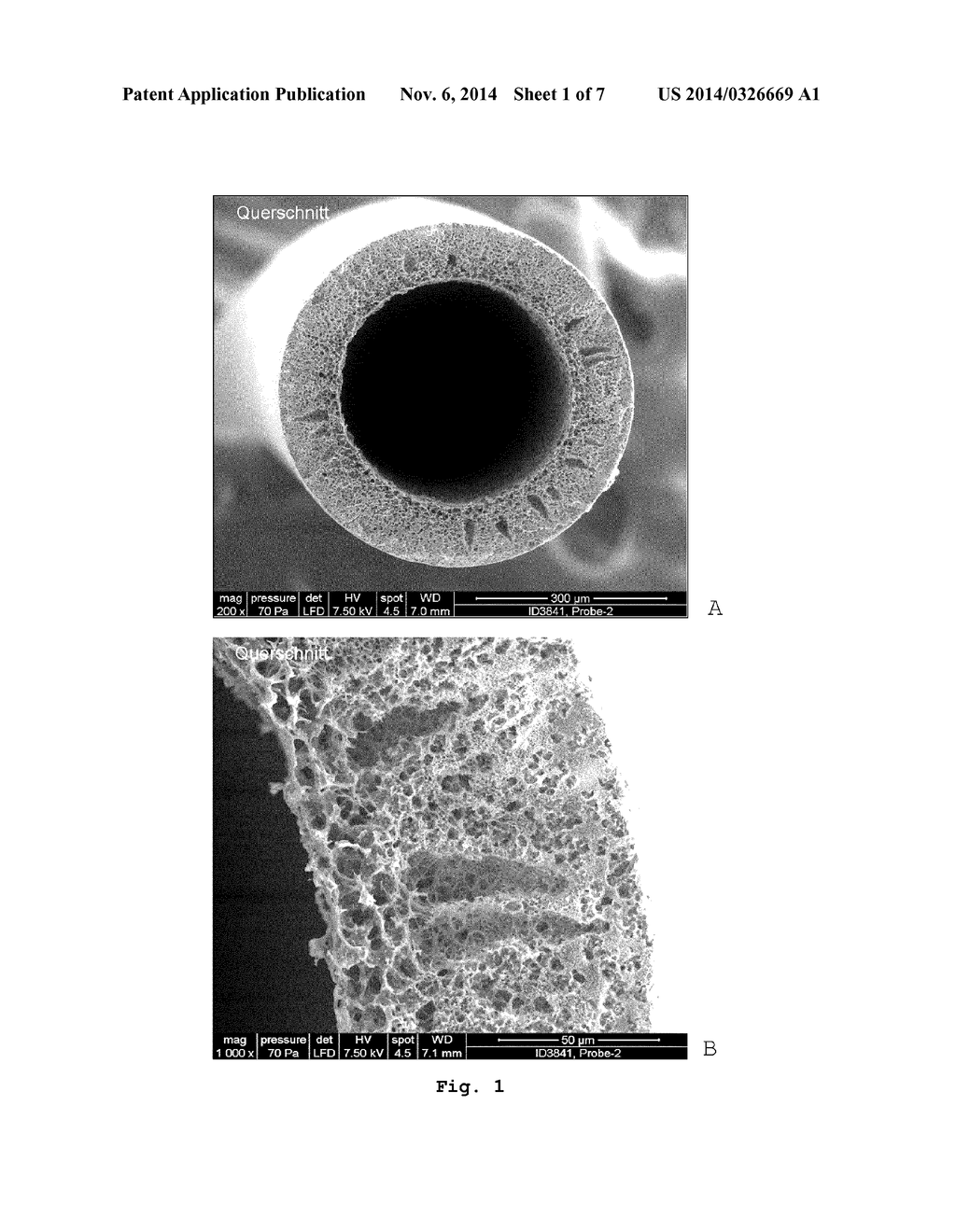 DOPED MEMBRANES - diagram, schematic, and image 02