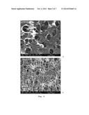 DOPED MEMBRANES diagram and image