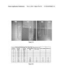 Method for the Production of Commercial Nanoparticle and Microparticle     Powders diagram and image