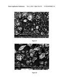 Method for the Production of Commercial Nanoparticle and Microparticle     Powders diagram and image