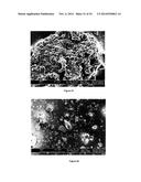 Method for the Production of Commercial Nanoparticle and Microparticle     Powders diagram and image