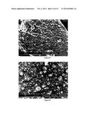 Method for the Production of Commercial Nanoparticle and Microparticle     Powders diagram and image