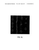 LIGHT SOURCE WITH QUANTUM DOTS diagram and image