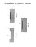 Semiconductor Device with an Electrode Buried in a Cavity diagram and image