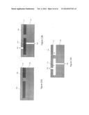 Semiconductor Device with an Electrode Buried in a Cavity diagram and image