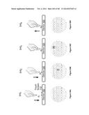 Touch Screen Device, Method, and Graphical User Interface for Customizing     Display of Content Category Icons diagram and image