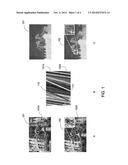 SCENE RECONSTRUCTION FROM HIGH SPATIO-ANGULAR RESOLUTION LIGHT FIELDS diagram and image