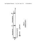 METHOD AND APPARATUS FOR PROCESSING UPLINK DATA BY DRX-MODE TERMINAL IN     MOBILE TELECOMMUNICATION SYSTEM diagram and image