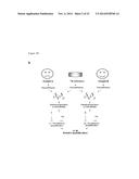 ISOTOPIC LABELING OF HIGHER ORGANISMS diagram and image