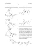 COMPOSITIONS USEFUL FOR THE TREATMENT OF VIRAL DISEASES diagram and image