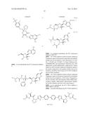 COMPOSITIONS USEFUL FOR THE TREATMENT OF VIRAL DISEASES diagram and image