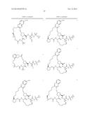 COMPOSITIONS USEFUL FOR THE TREATMENT OF VIRAL DISEASES diagram and image