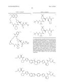 COMPOSITIONS USEFUL FOR THE TREATMENT OF VIRAL DISEASES diagram and image