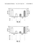 Mesenchymal Stem Cells and Uses Therefor diagram and image