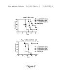 HER2/neu-Specific Antibodies and Methods of Using Same diagram and image