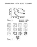 HER2/neu-Specific Antibodies and Methods of Using Same diagram and image